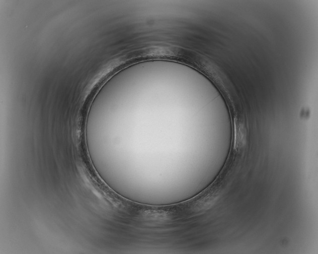 X0000111390435200907241337