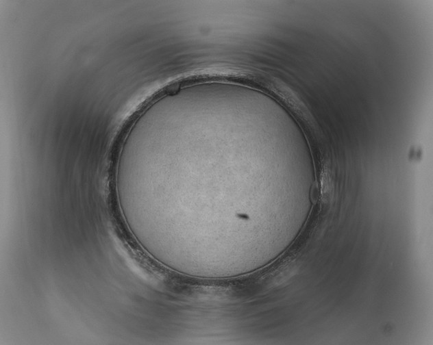 X0000111390436200907241337