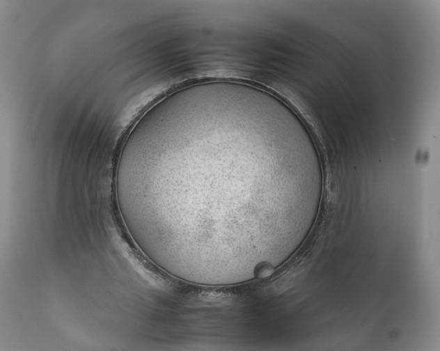 X0000111390437200907241337