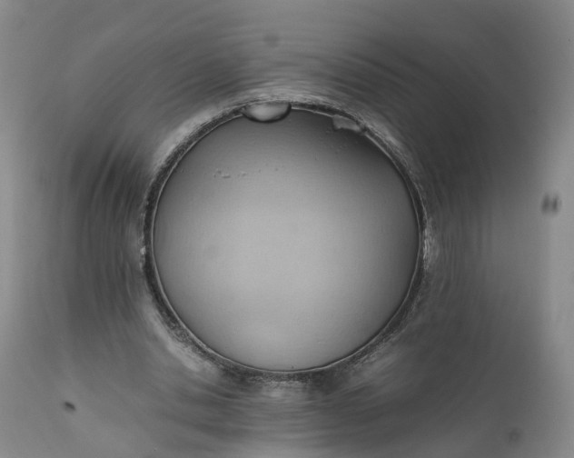 X0000111390438200907241337