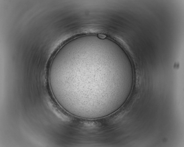 X0000111390439200907241337