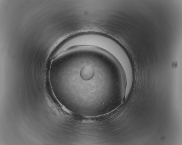 X0000111390440200907241337