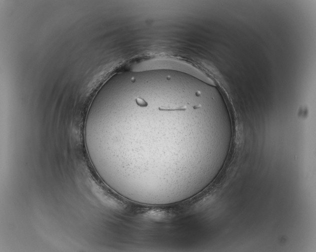 X0000111390441200907241337