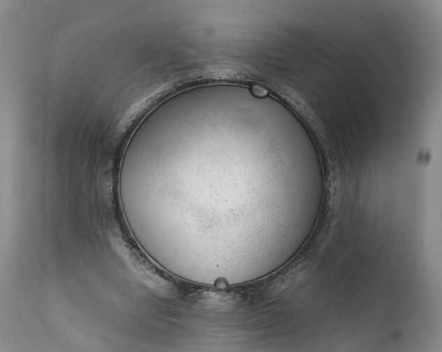 X0000111390442200907241337