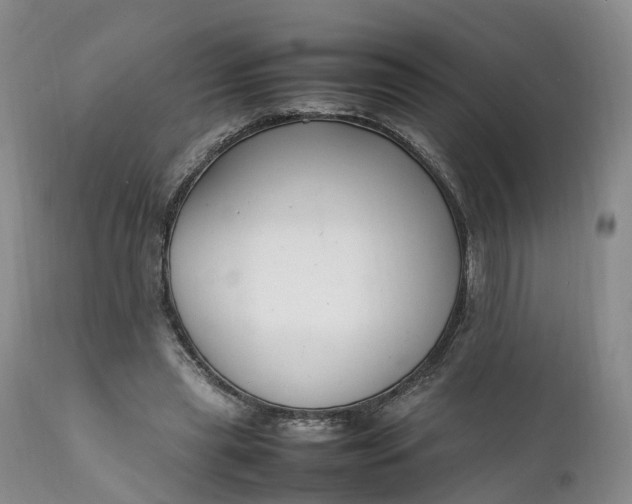 X0000111390445200907241337