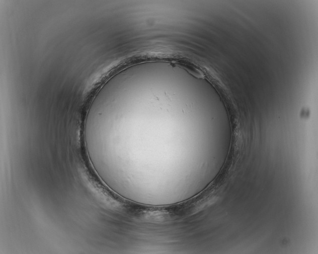 X0000111390446200907241337