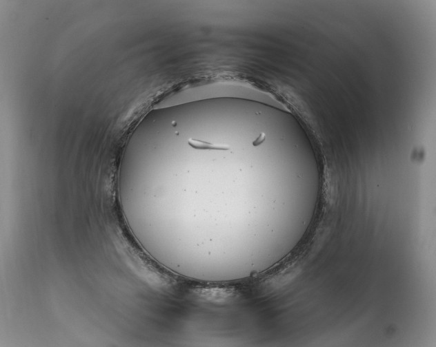 X0000111390449200907241337