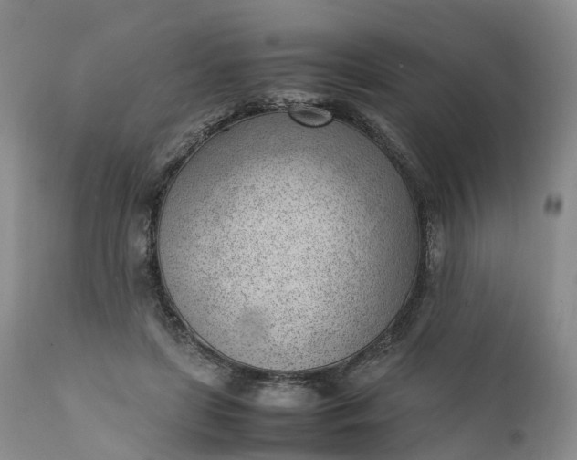 X0000111390451200907241337