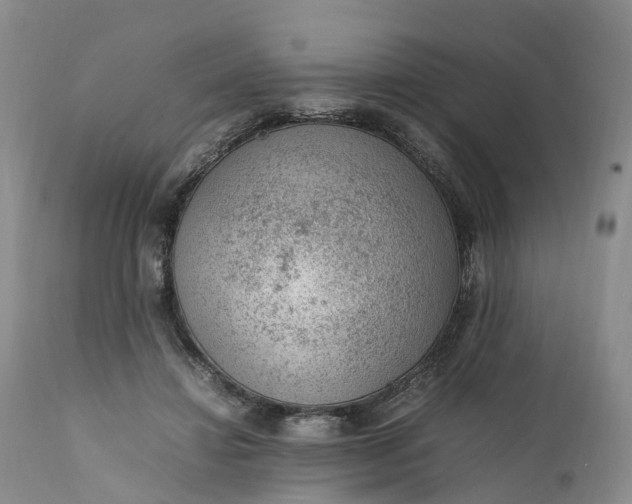 X0000111390452200907241337