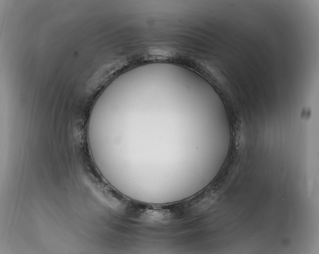 X0000111390455200907241337