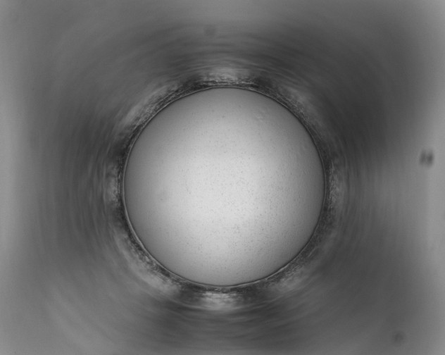 X0000111390457200907241337