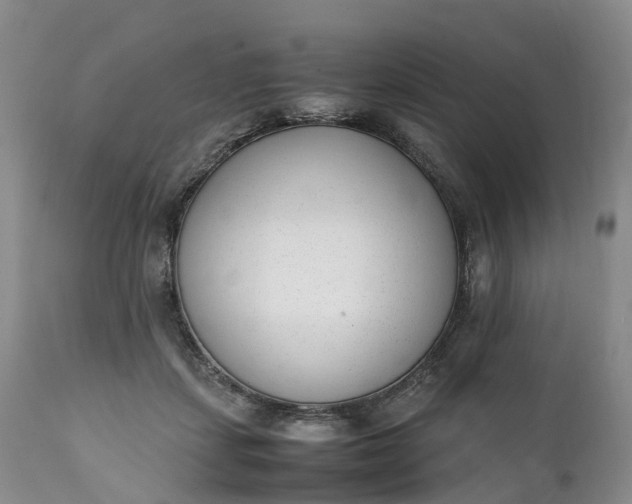 X0000111390459200907241338