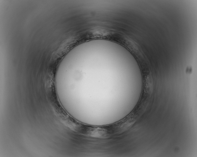 X0000111390463200907241338