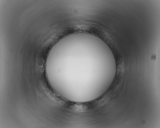 X0000111390464200907241338