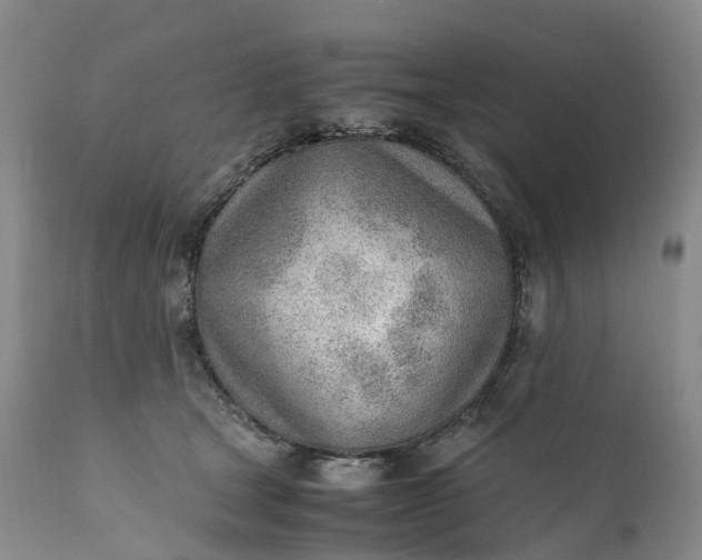 X0000111390465200907241338