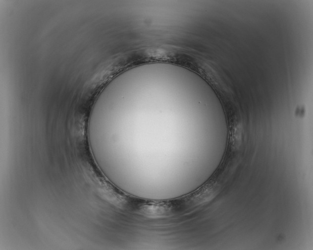 X0000111390466200907241338