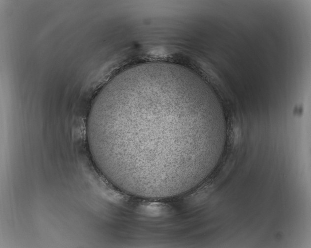 X0000111390467200907241338