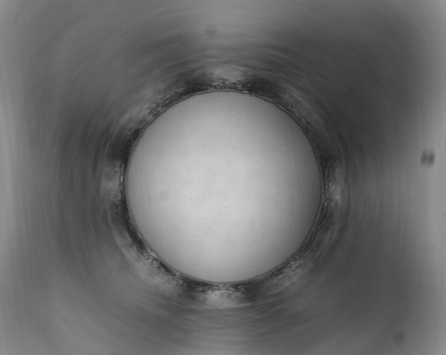 X0000111390468200907241338