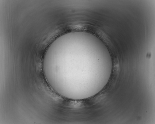 X0000111390469200907241338