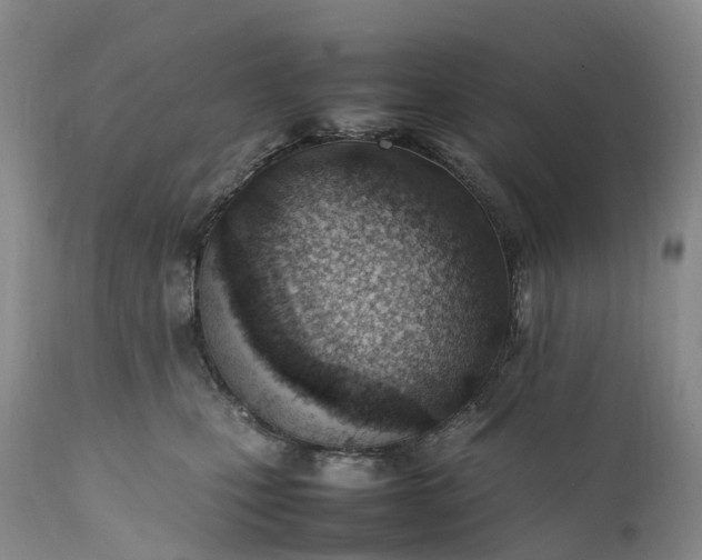 X0000111390471200907241338