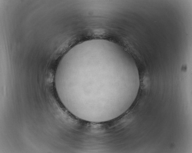 X0000111390472200907241338