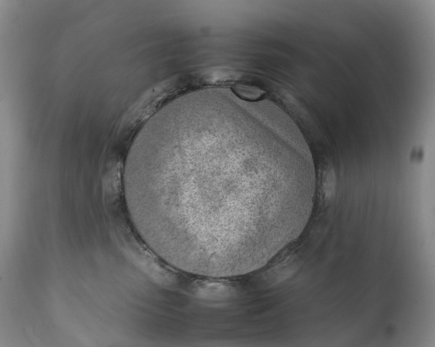 X0000111390475200907241338