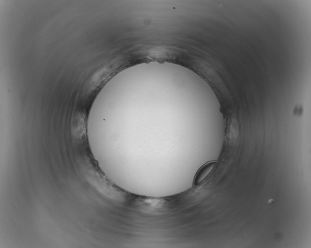 X0000111390478200907241338