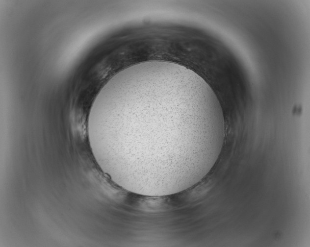 X0000111390479200907241338