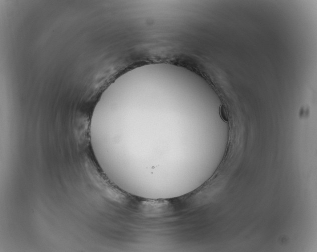 X0000111390480200907241338