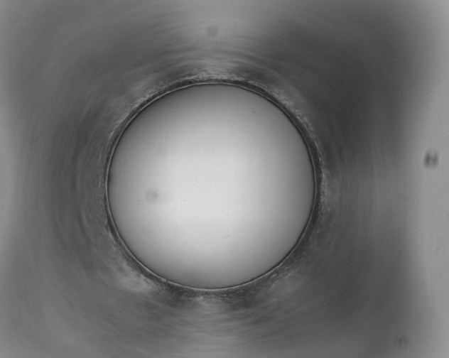 X0000111390481200907241337