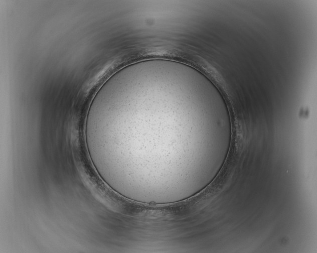 X0000111390482200907241337