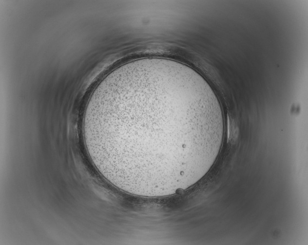 X0000111390483200907241337