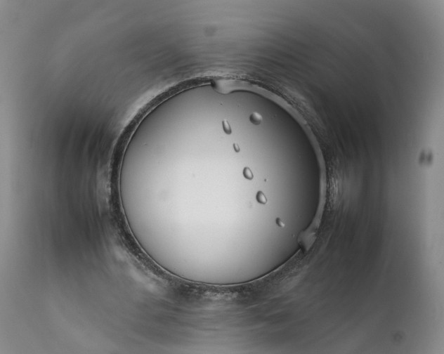 X0000111390484200907241337