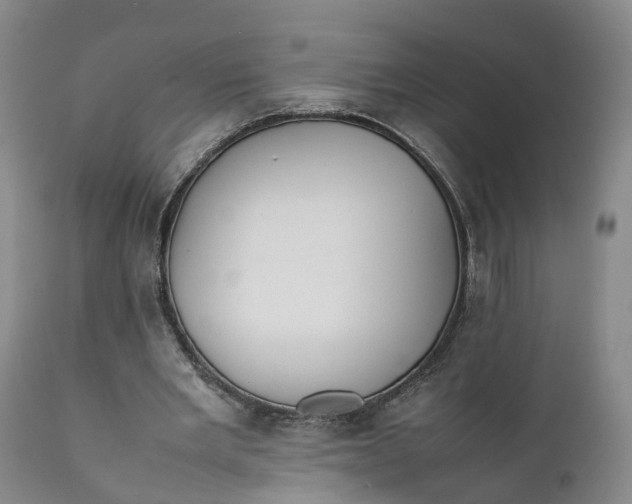 X0000111390485200907241337