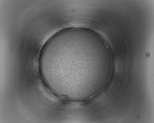 X0000111390488200907241337