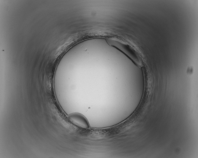 X0000111390489200907241337