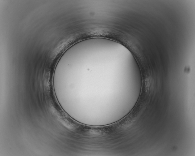 X0000111390490200907241337