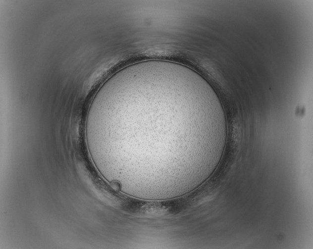 X0000111390491200907241337