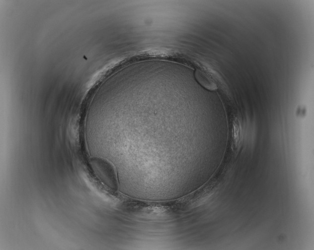 X0000111390492200907241337