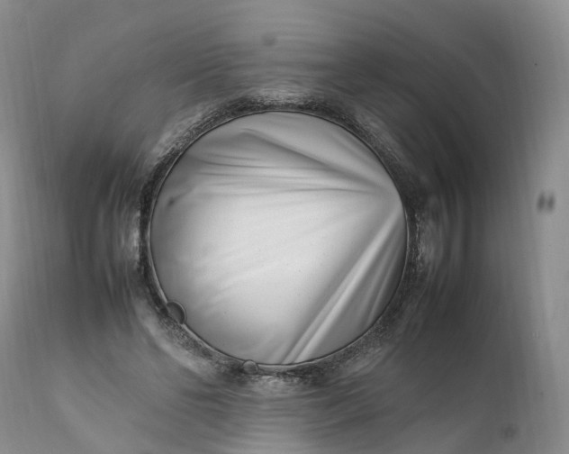 X0000111390494200907241337