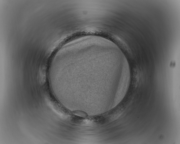 X0000111390496200907241337