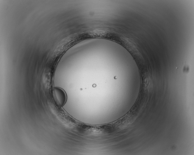 X0000111390498200907241337