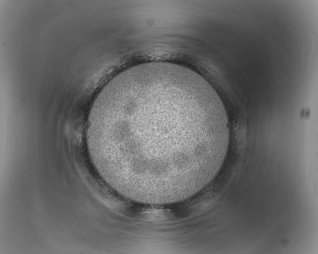 X0000111390499200907241337