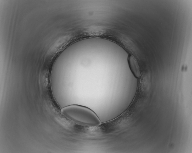 X0000111390501200907241337