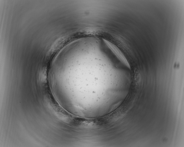 X0000111390502200907241337