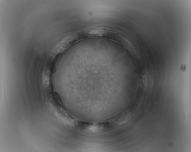 X0000111390504200907241337