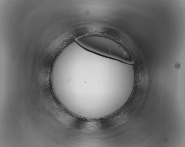 X0000111390505200907241337