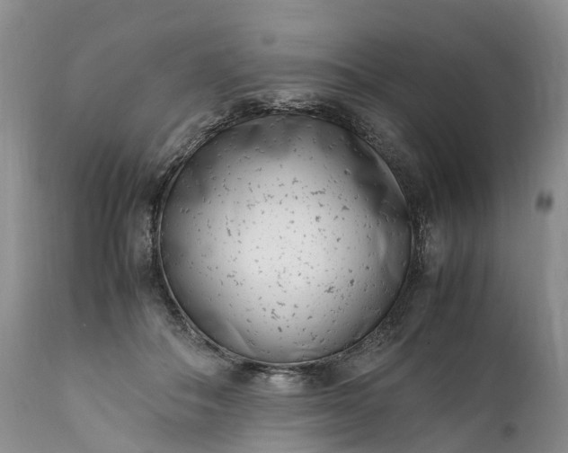 X0000111390506200907241337