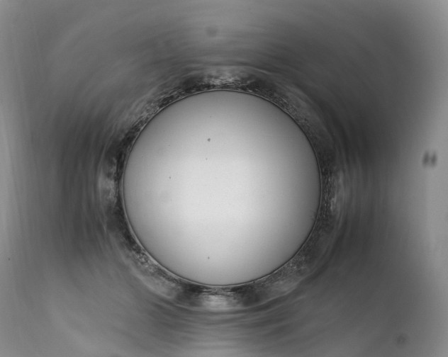 X0000111390510200907241337