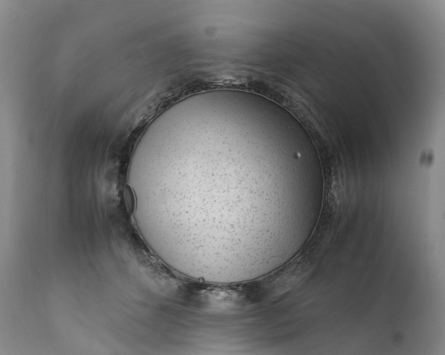 X0000111390512200907241337